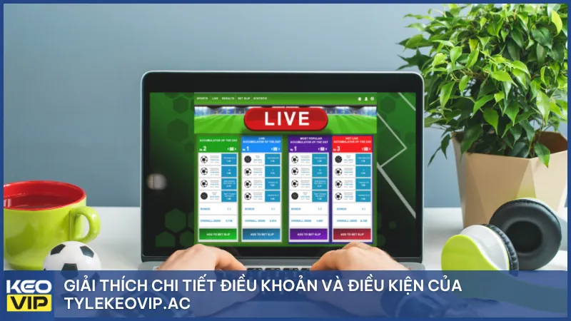 Thông tin rõ ràng – Điều khoản minh bạch giúp người chơi yên tâm tra cứu tỷ lệ kèo trực tuyến tại Tỷ Lệ Kèo Nhà Cái KEOVIP