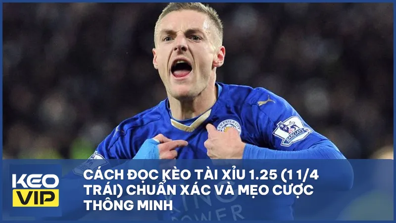 Kèo tài xỉu 1.25 (1 1/4 trái)