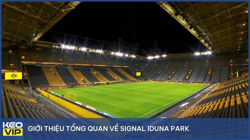 Signal Iduna Park - Khi sắc vàng đen tạo nên huyền thoại