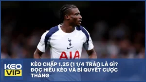 Kèo chấp 1.25 (1 1/4 trái) là gì? Cách đọc kèo và mẹo cược dễ thắng