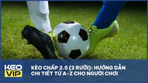 Kèo chấp 2.5 là gì? Cách chơi và mẹo bắt kèo hiệu quả cho người mới