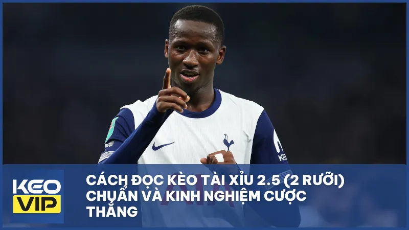 Cách đọc kèo tài xỉu 2.5 (2 rưỡi) chuẩn và kinh nghiệm cược thắng