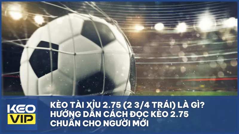 Kèo tài xỉu 2.75 (2 3/4 trái) là gì? Hướng dẫn cách đọc kèo 2.75 chuẩn cho người mới