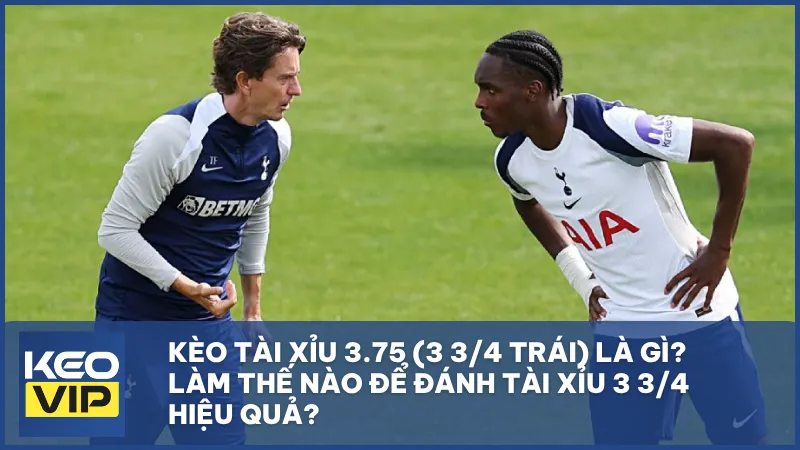 Kèo tài xỉu 3.75 (3 3/4 trái) là gì? Làm thế nào để đánh tài xỉu 3 3/4 hiệu quả?