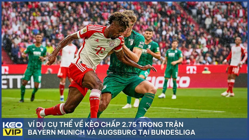 Hình ảnh trận Bayern vs Augsburg với tỷ số minh họa kết quả cược.