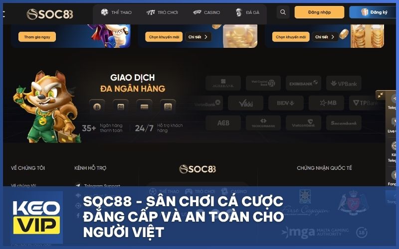 SOC88 - Sân chơi cá cược đẳng cấp và an toàn cho người Việt