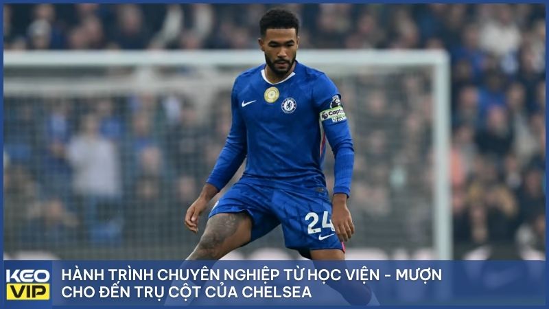Hành trình chuyên nghiệp từ học viện - mượn cho đến trụ cột