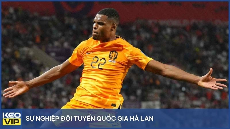 Sự nghiệp đội tuyển quốc gia